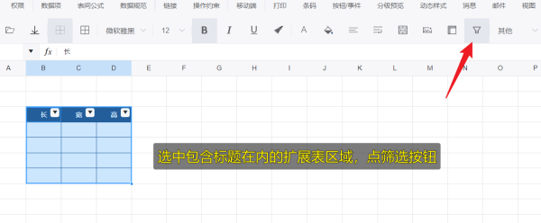 如何设置扩展表的筛选功能-习听风雨丨专注WorkFine开发