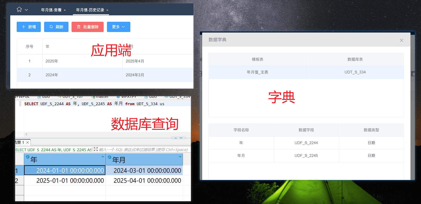提取年、年月等类型的值时要注意它们的存储类型-本牛千智丨专注WorkFine开发