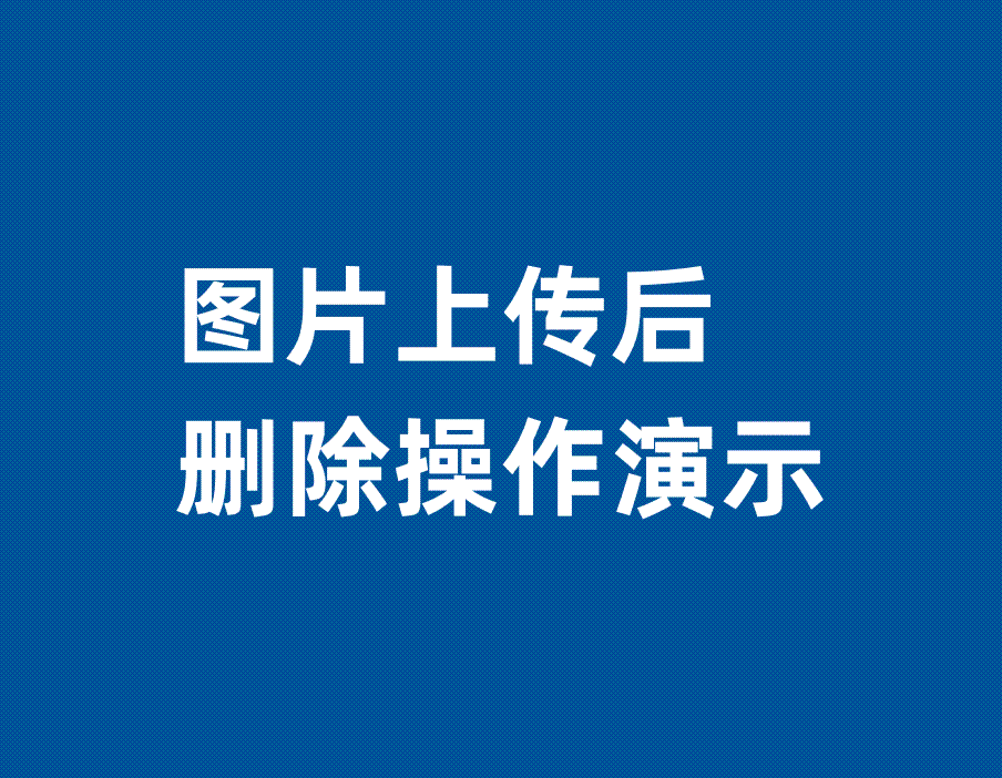 图片上传后删除操作演示-综合交流区服务中心-低代码平台-习听风雨丨专注WorkFine开发