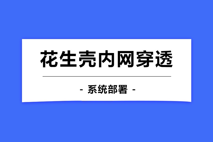 花生壳内网穿透-习听风雨丨专注WorkFine开发
