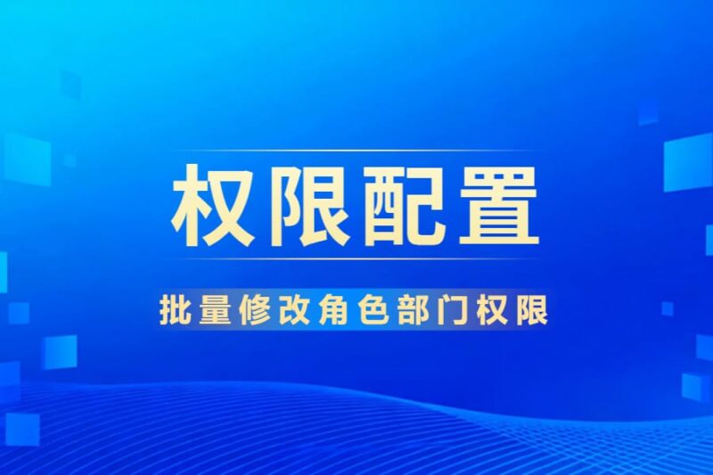 应用实例丨批量权限管理模板设计实例-本牛千智丨专注WorkFine开发