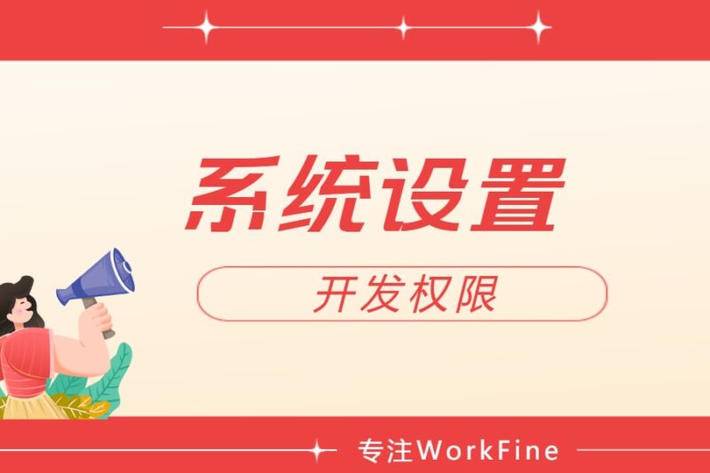 系统设置丨开发权限-本牛千智丨专注WorkFine开发