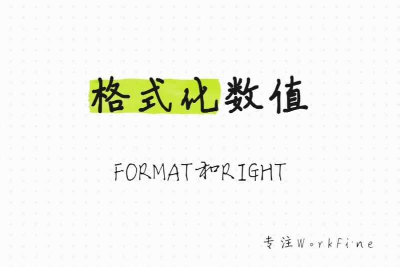 格式化数值：FORMAT和RIGHT，附WorkFine应用实例-本牛千智丨专注WorkFine开发